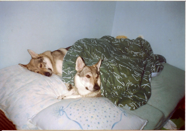 skenovat0022.jpg