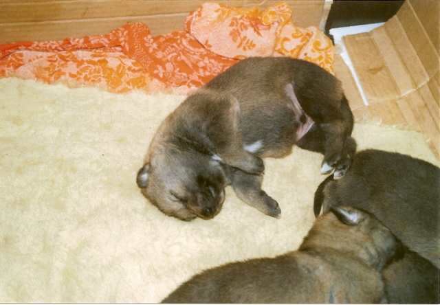 skenovat0006.jpg