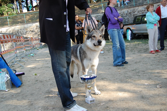 DSC_0695.JPG