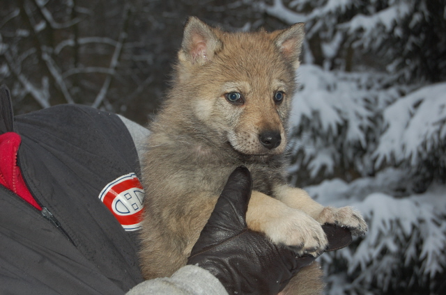 DSC_1424.JPG