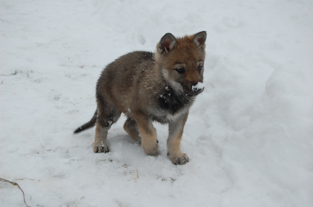 DSC_1545.JPG