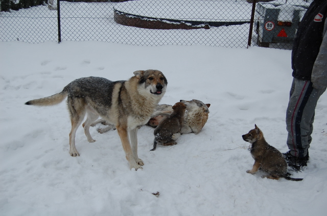 DSC_1614.JPG