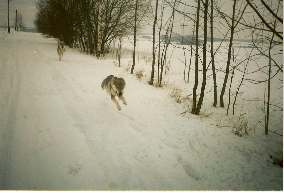 skenovat0037.jpg