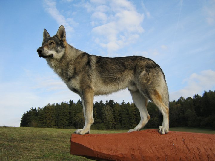 Argo01