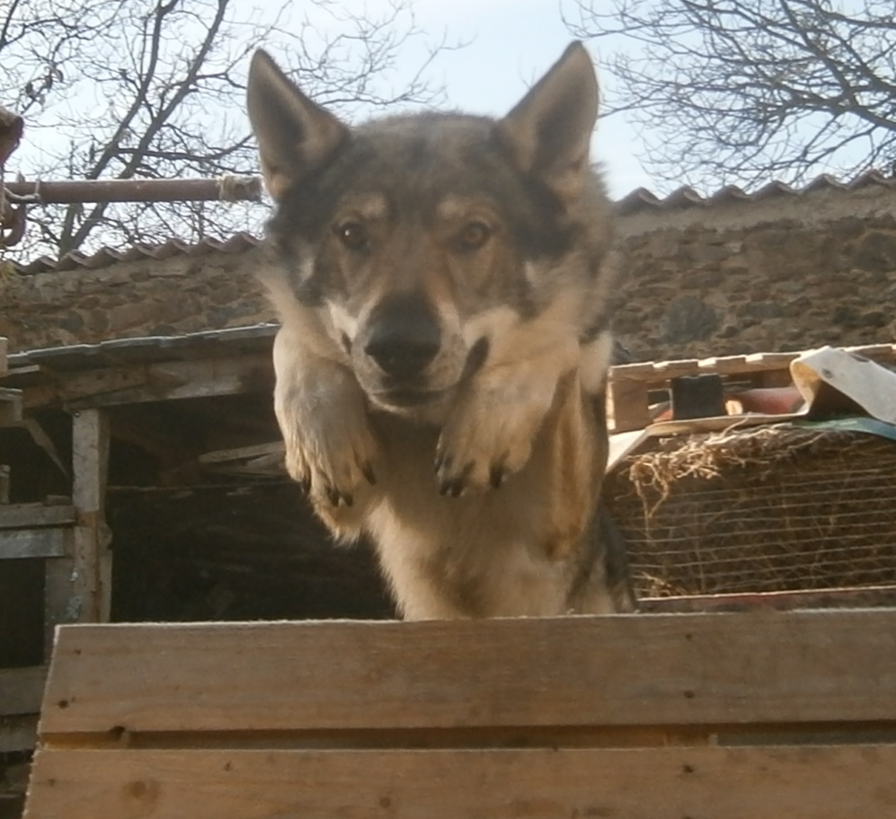 Argo06