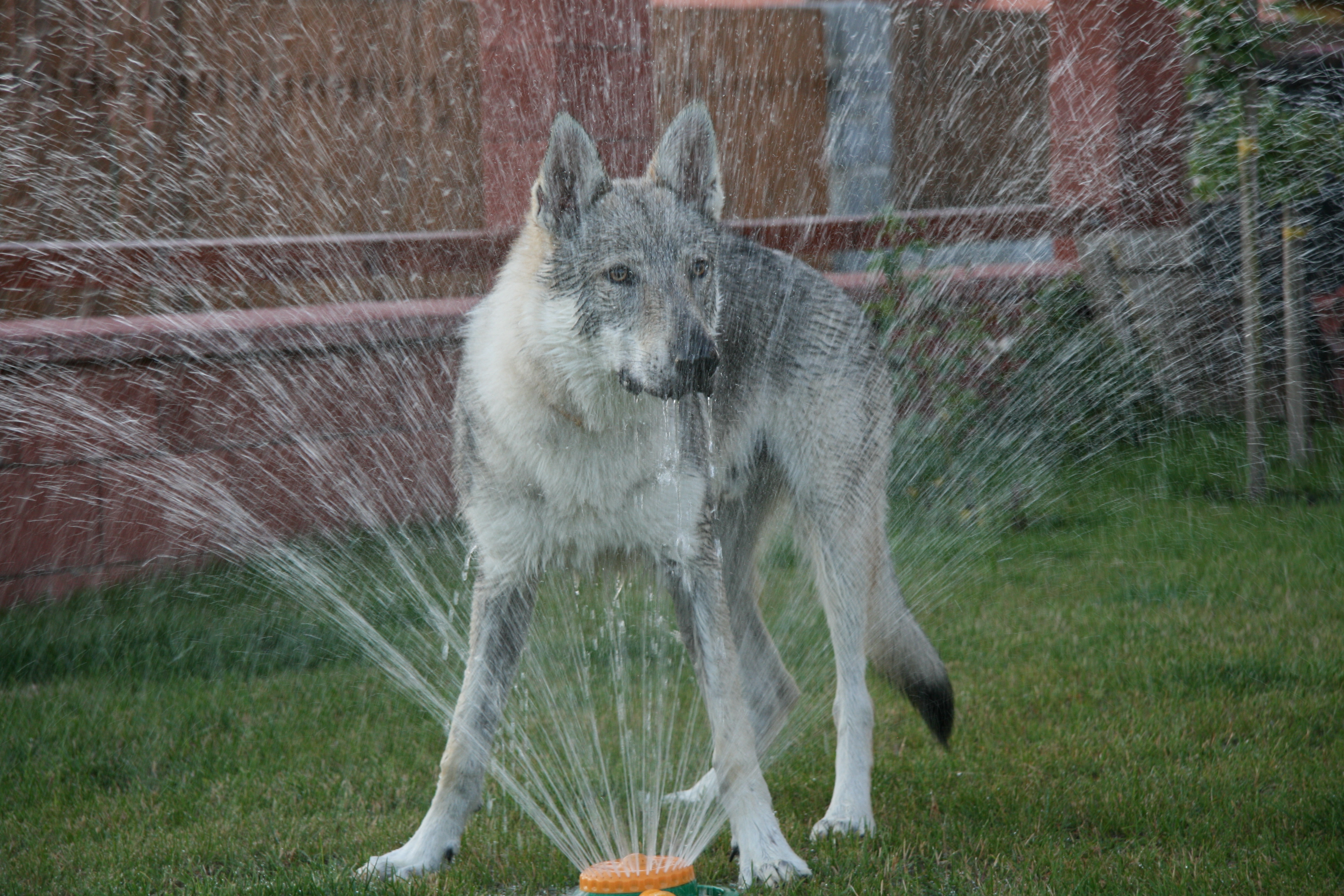 1204