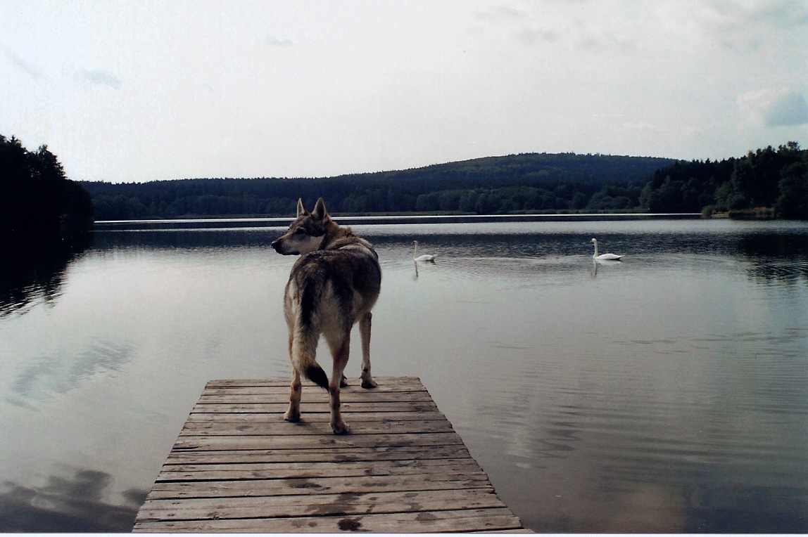 skenovat0016.jpg
