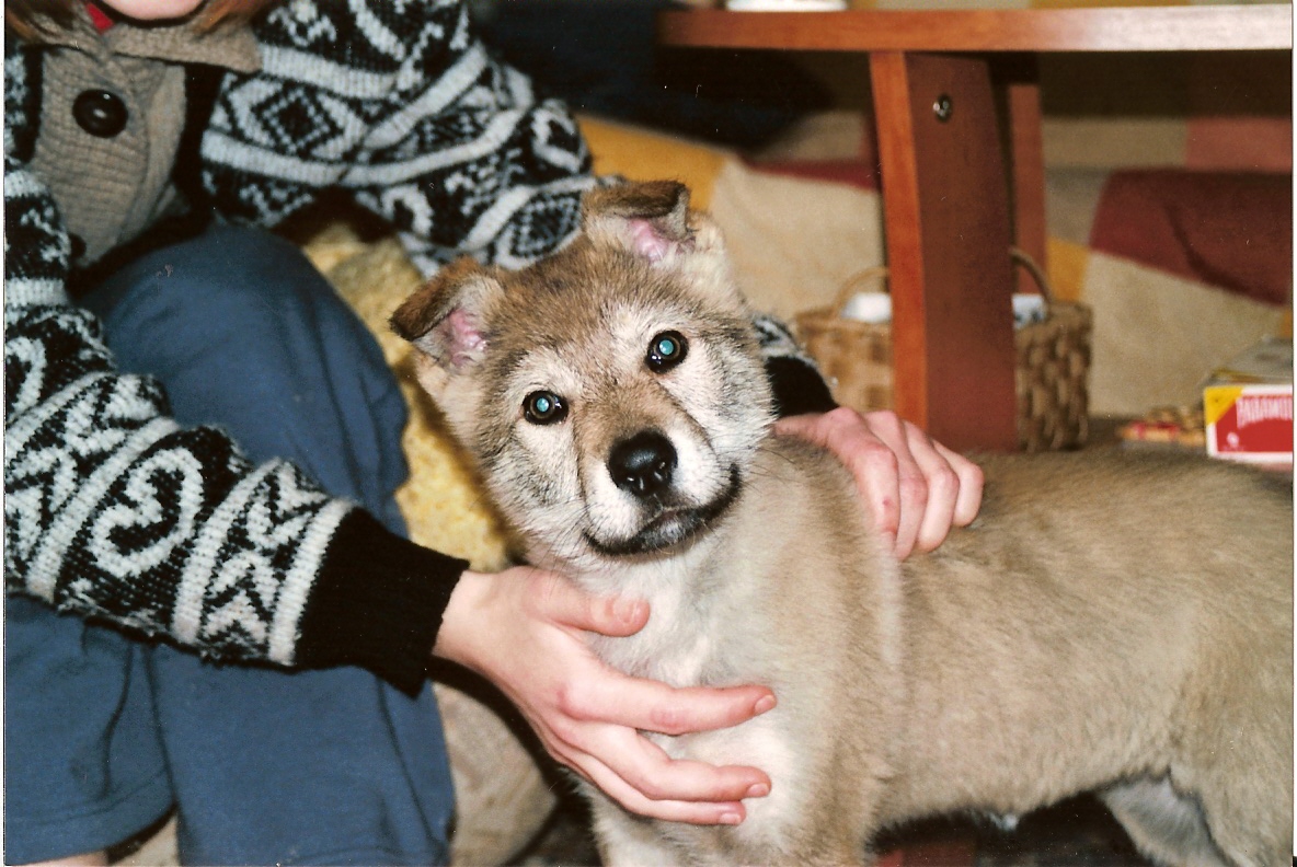 skenovat0004.jpg