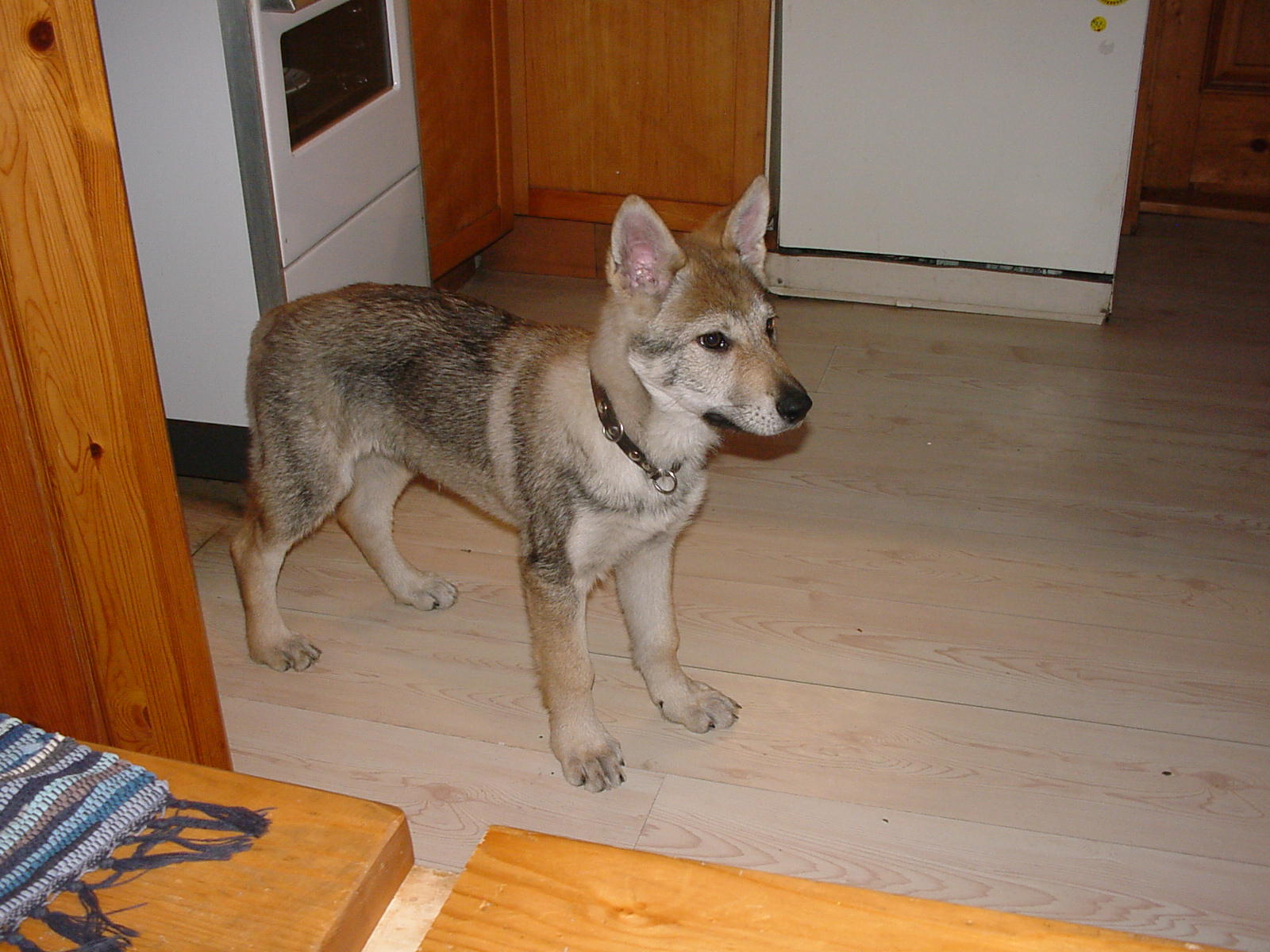 Bild 019.jpg