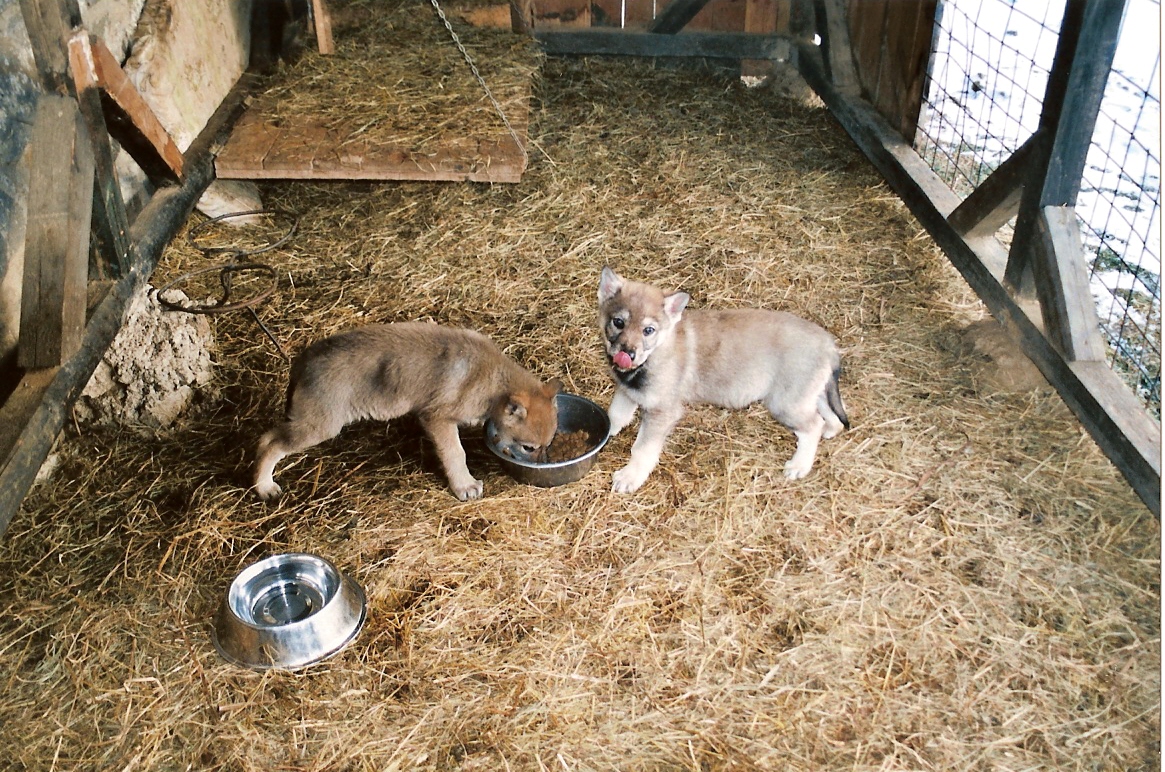 skenovat0010.jpg