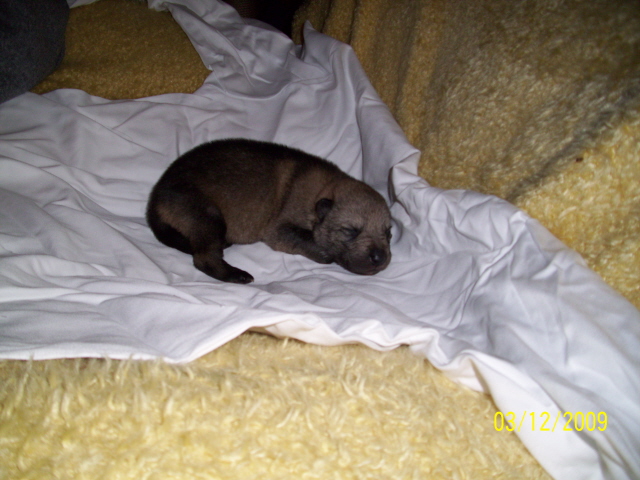 100_0593.JPG